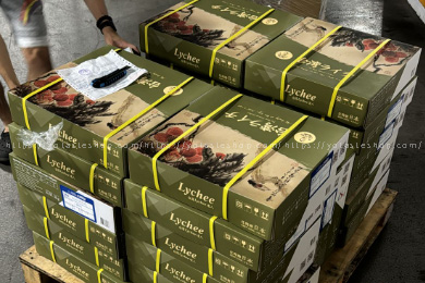 香港玉荷包荔枝禮盒